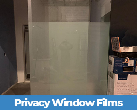 Cryotherapy Chamber With Frosted Window Film Preventing View Inside for Privacy