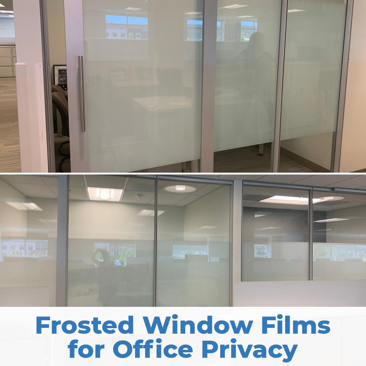 Frosted Window FIlms for Office Privacy